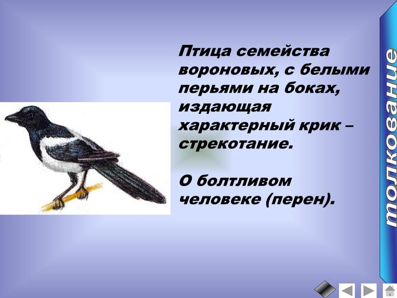 Птица семейства вороновых, с белыми перьями на боках, издающая характерный крик – стрекотание