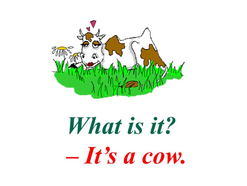 What is it? – It’s a cow.