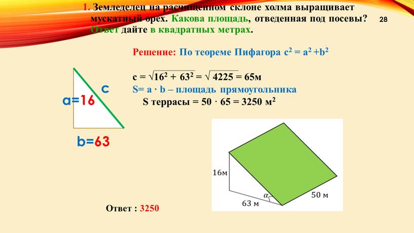 Ответ : 3250 1. Земледелец на расчищенном склоне холма выращивает мускатный орех