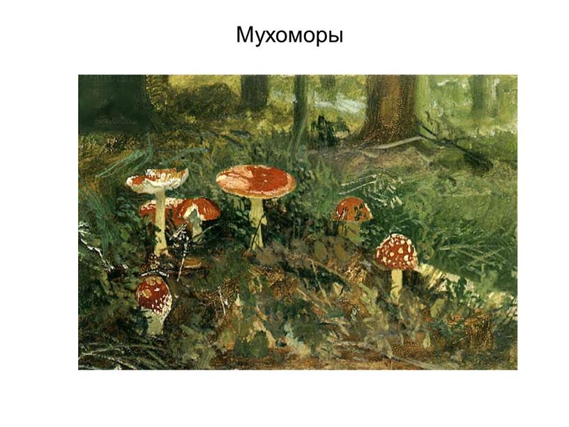 Мухоморы