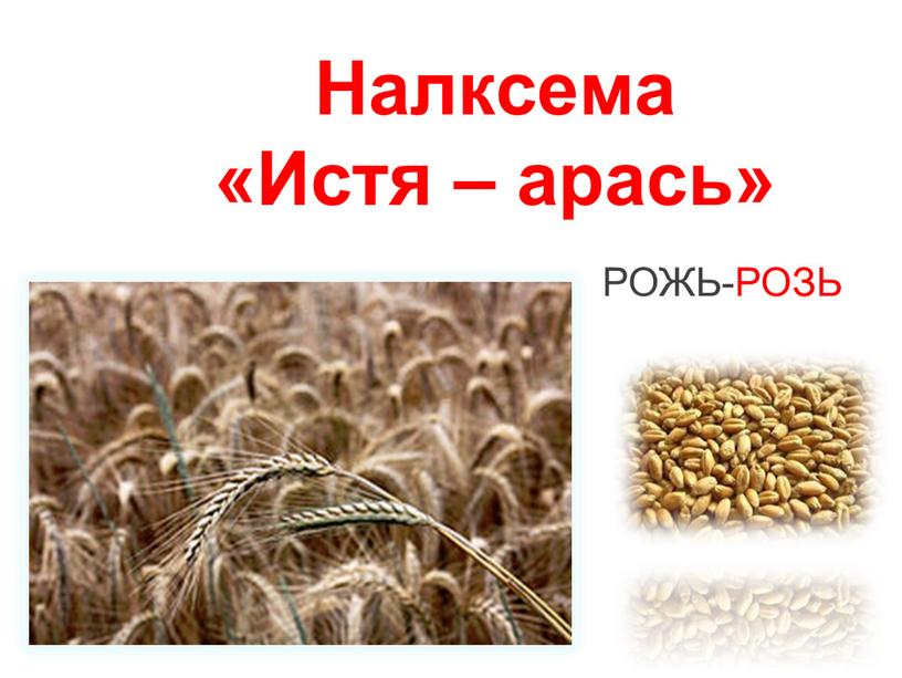 Налксема «Истя – арась» РОЖЬ-РОЗЬ