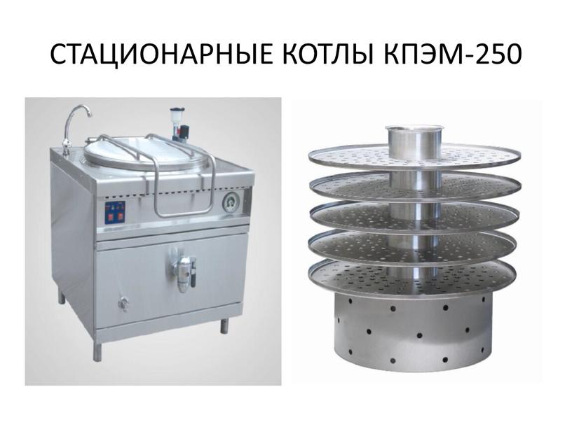 СТАЦИОНАРНЫЕ КОТЛЫ КПЭМ-250