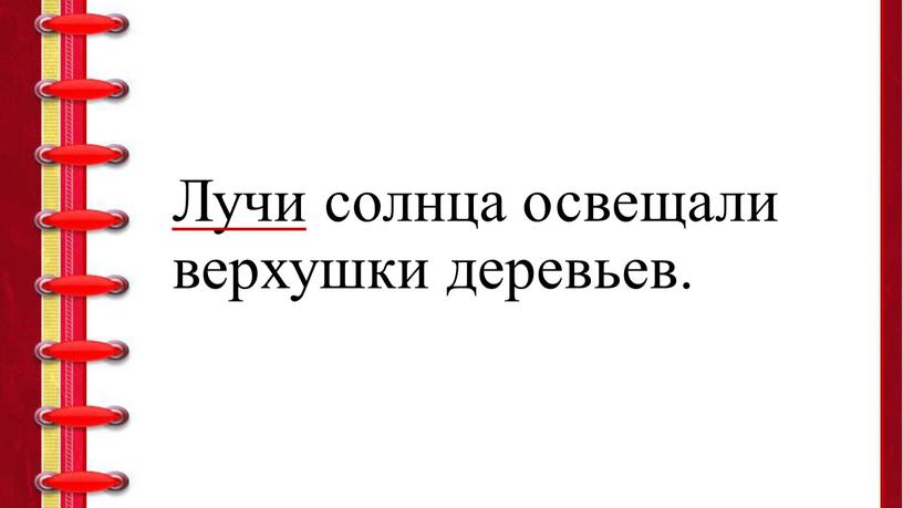 Лучи солнца освещали верхушки деревьев