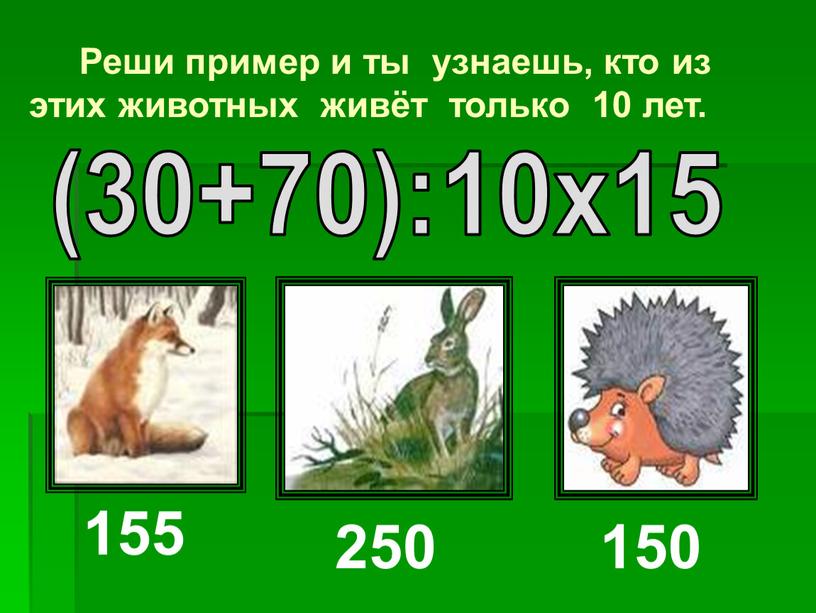 Реши пример и ты узнаешь, кто из этих животных живёт только 10 лет