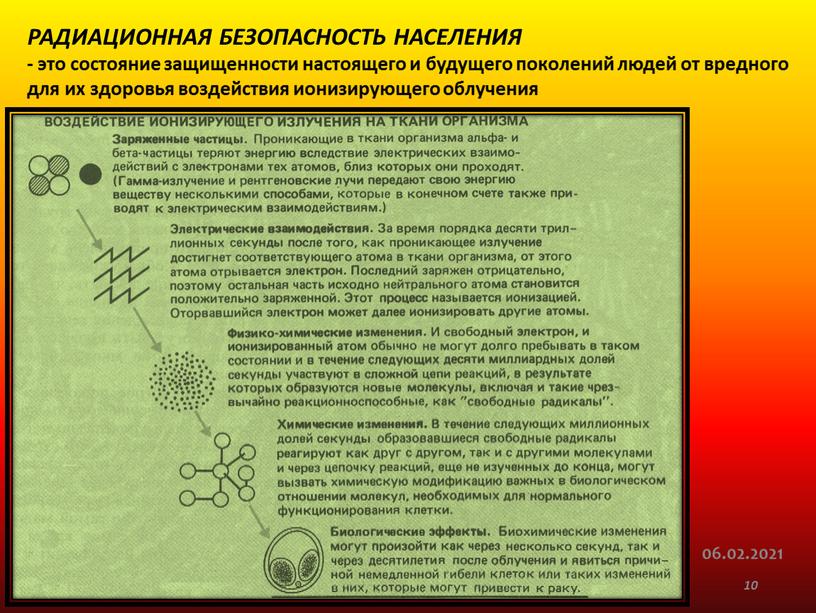 РАДИАЦИОННАЯ БЕЗОПАСНОСТЬ НАСЕЛЕНИЯ - это состояние защищенности настоящего и будущего поколений людей от вредного для их здоровья воздействия ионизирующего облучения