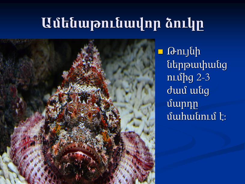 Ամենաթունավոր ձուկը Թույնի ներթափանցումից 2-3 ժամ անց մարդը մահանում է: