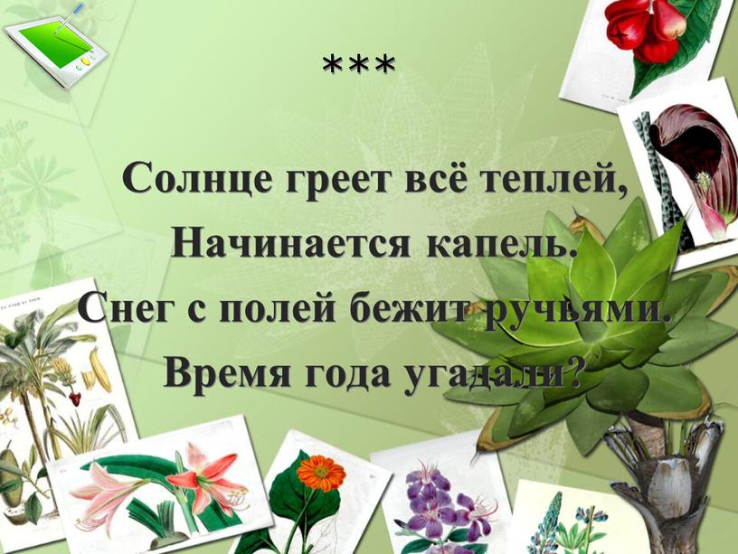 Солнце греет всё теплей, Начинается капель