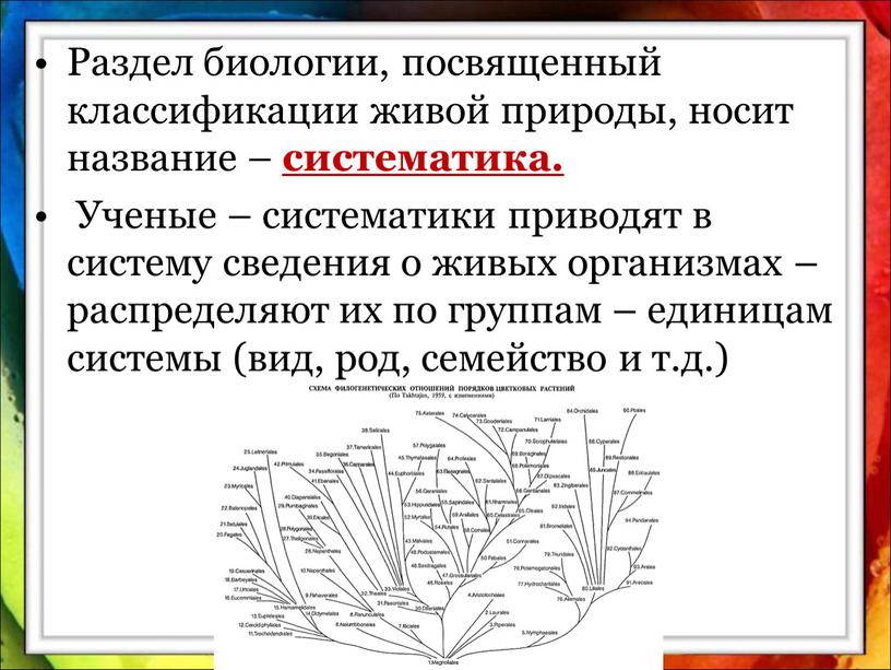 Принципы систематики презентация