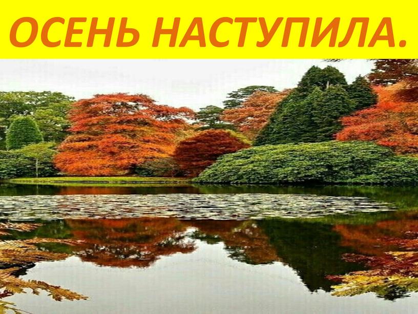 ОСЕНЬ НАСТУПИЛА.