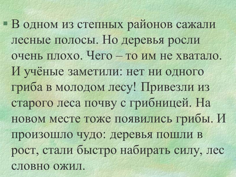 В одном из степных районов сажали лесные полосы