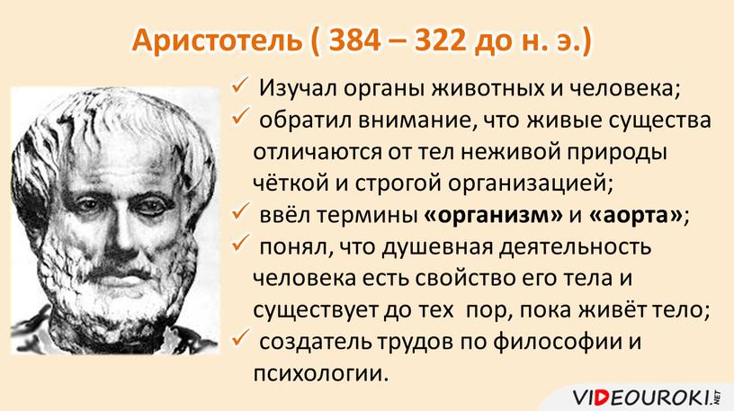 Аристотель ( 384 – 322 до н. э