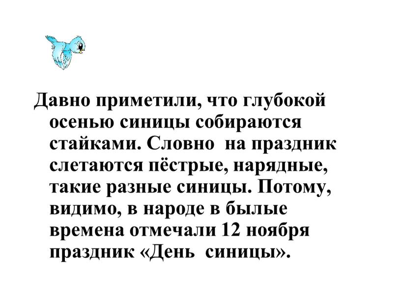 Давно приметили, что глубокой осенью синицы собираются стайками