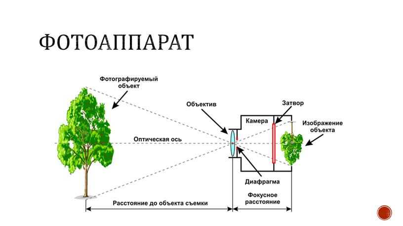 фотоаппарат