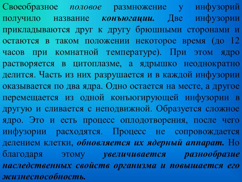 Своеобразное половое размножение у инфузорий получило название конъюгации