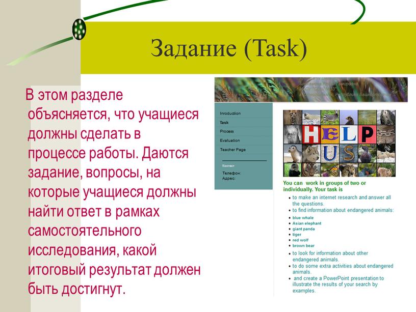Задание (Task) В этом разделе объясняется, что учащиеся должны сделать в процессе работы