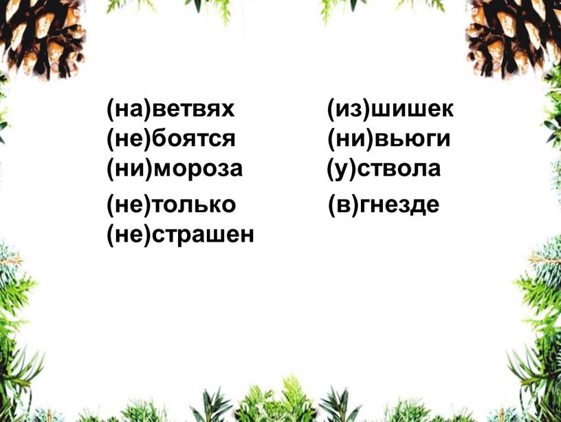 (на)ветвях (из)шишек (не)боятся (ни)вьюги (ни)мороза (у)ствола (не)только (в)гнезде (не)страшен