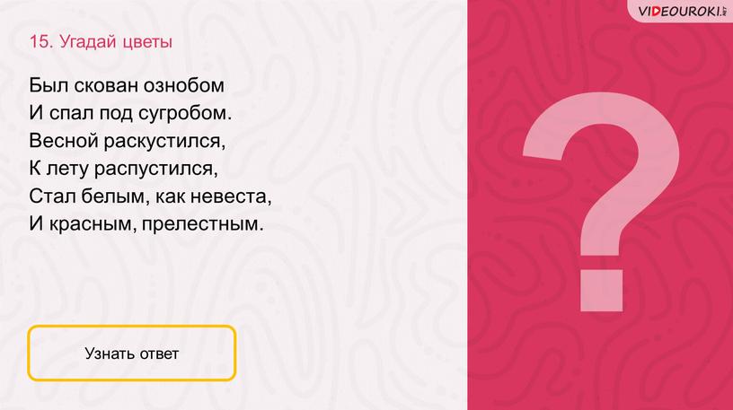 Узнать ответ ? 15. Угадай цветы