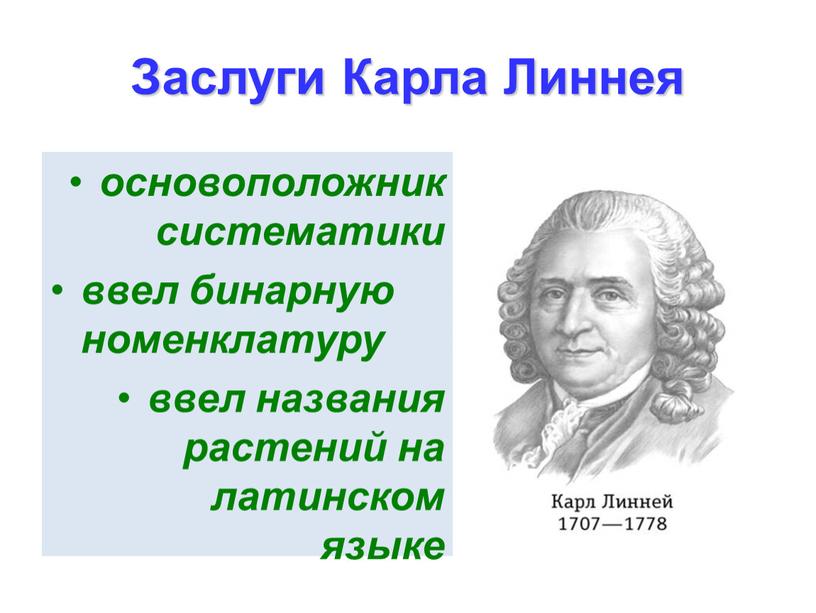 Заслуги Карла Линнея основоположник систематики ввел бинарную номенклатуру ввел названия растений на латинском языке