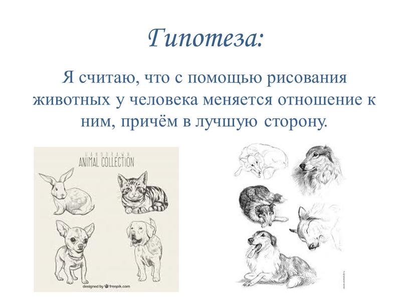 Гипотеза: Я считаю, что с помощью рисования животных у человека меняется отношение к ним, причём в лучшую сторону