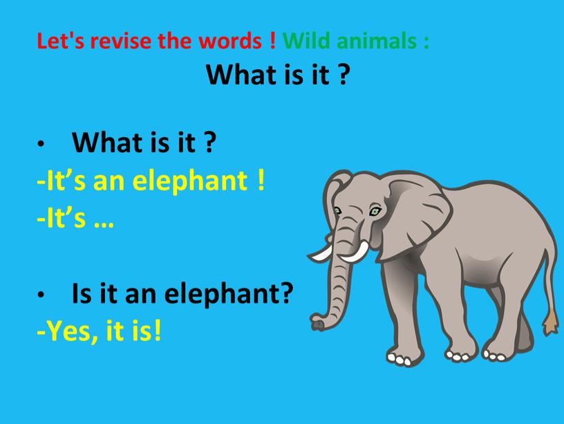 Let's revise the words ! Wild animals :