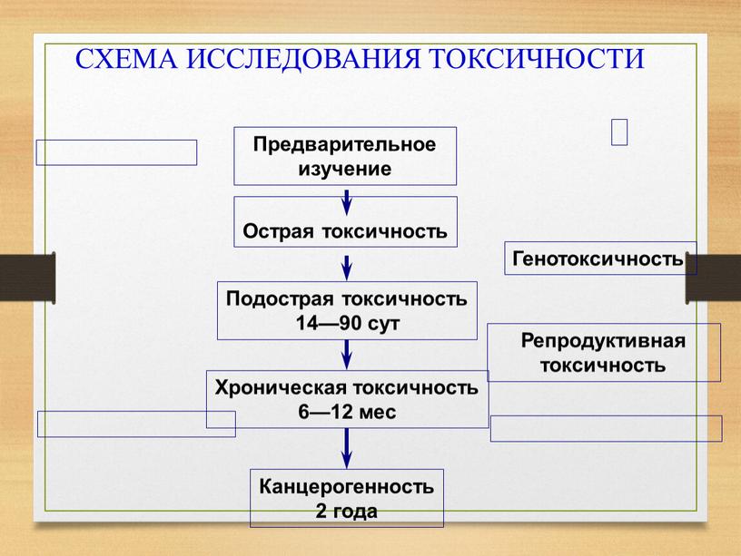 СХЕМА ИССЛЕДОВАНИЯ ТОКСИЧНОСТИ