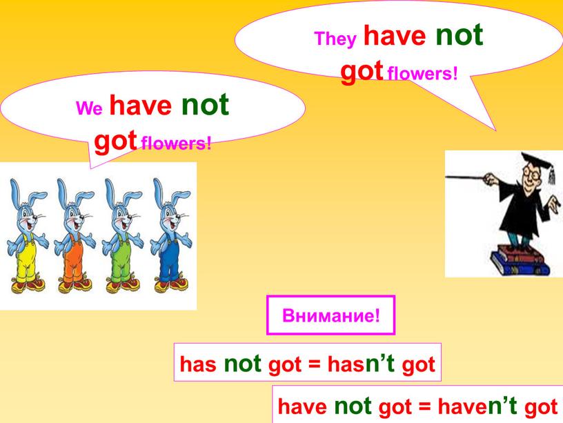 We have not got flowers! They have not got flowers! has not got = hasn’t got have not got = haven’t got