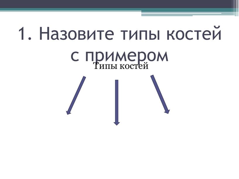 Назовите типы костей с примером