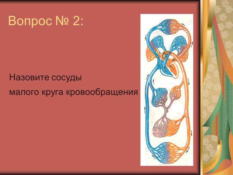 Вопрос № 2: Назовите сосуды малого круга кровообращения