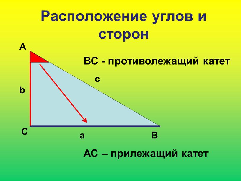 Расположение углов и сторон А С