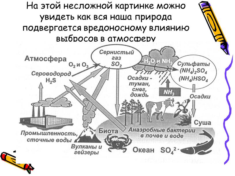 На этой несложной картинке можно увидеть как вся наша природа подвергается вредоносному влиянию выбросов в атмосферу