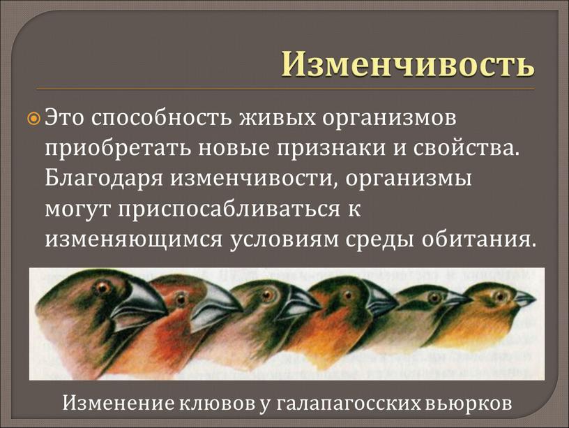 Изменчивость Это способность живых организмов приобретать новые признаки и свойства