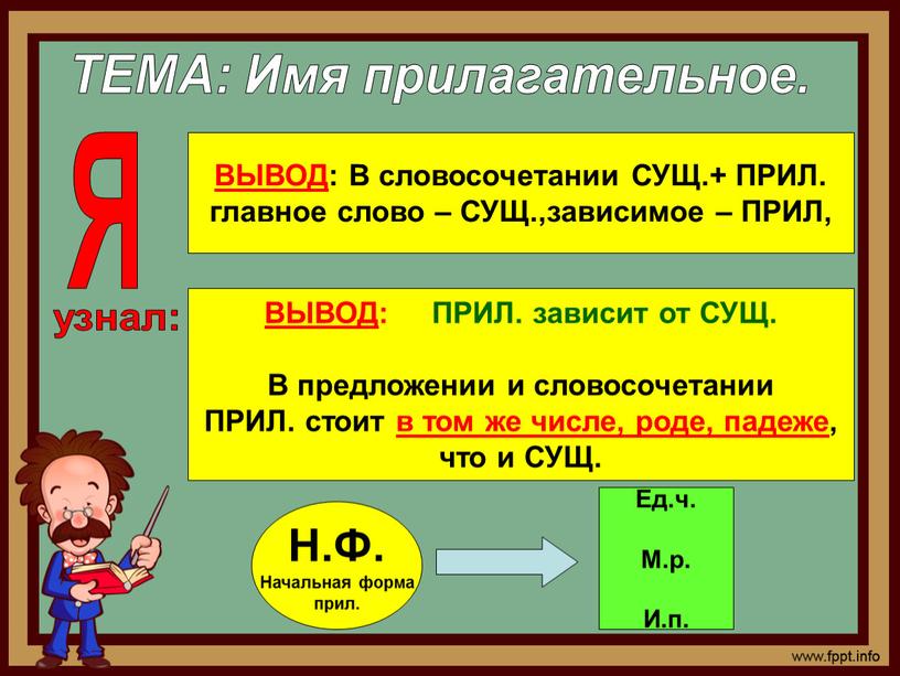 ТЕМА: Имя прилагательное. ВЫВОД :