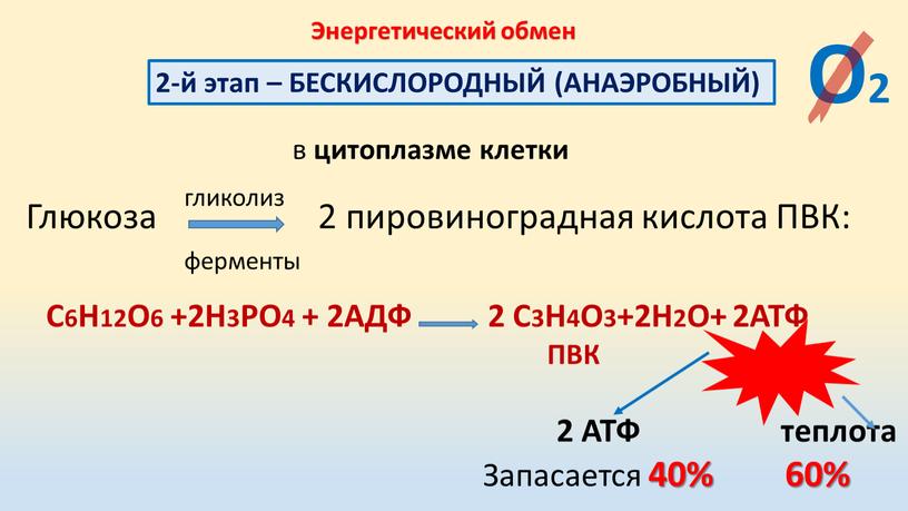 Энергетический обмен 2-й этап –