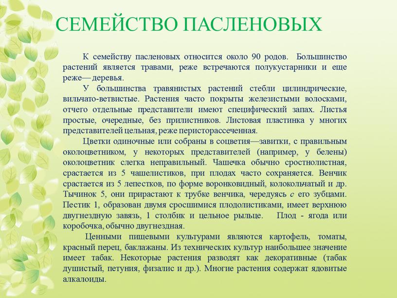 К семейству пасленовых относится около 90 родов