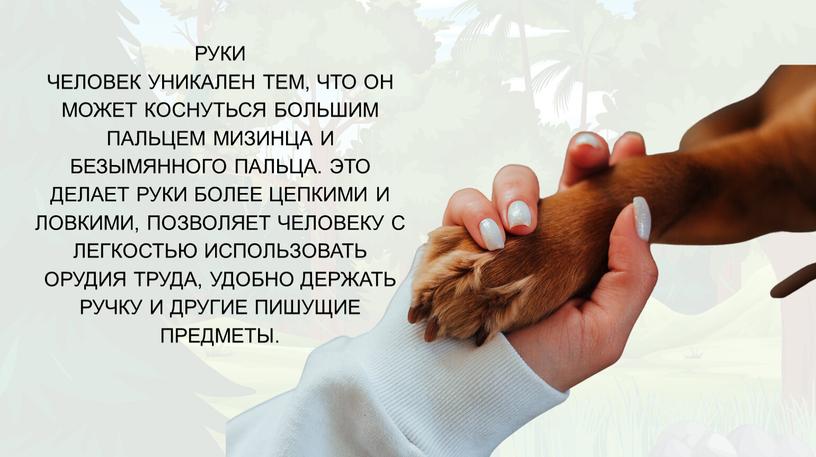 РУКИ ЧЕЛОВЕК УНИКАЛЕН ТЕМ, ЧТО