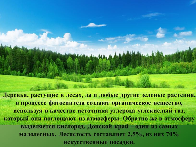 Деревья, растущие в лесах, да и любые другие зеленые растения, в процессе фотосинтеза создают органическое вещество, используя в качестве источника углерода углекислый газ, который они…