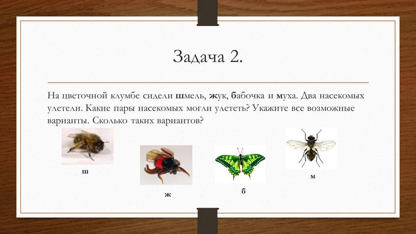 Задача 2. На цветочной клумбе сидели ш мель, ж ук, б абочка и м уха