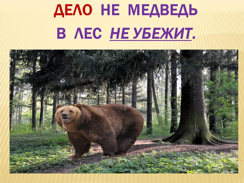 Дело не медведь в лес не убежит