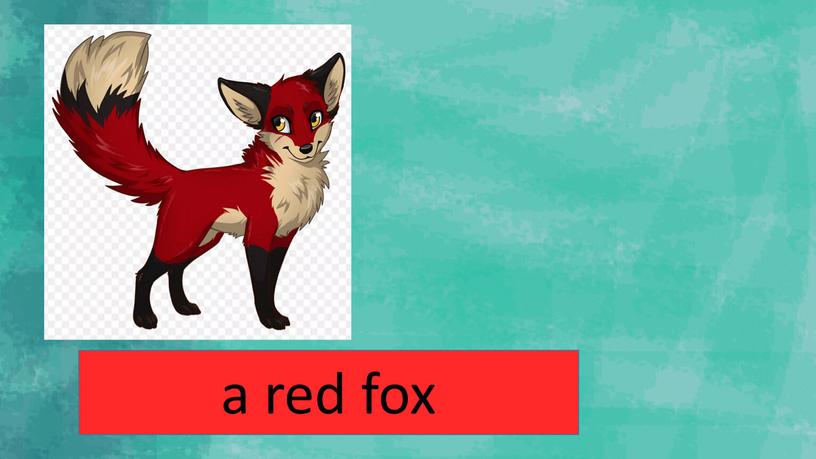 a red fox