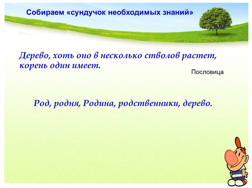 Дерево, хоть оно в несколько стволов растет, корень один имеет