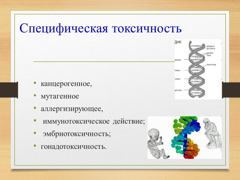 Специфическая токсичность канцерогенное, мутагенное аллергизирующее, иммунотоксическое действие; эмбриотоксичность; гонадотоксичность