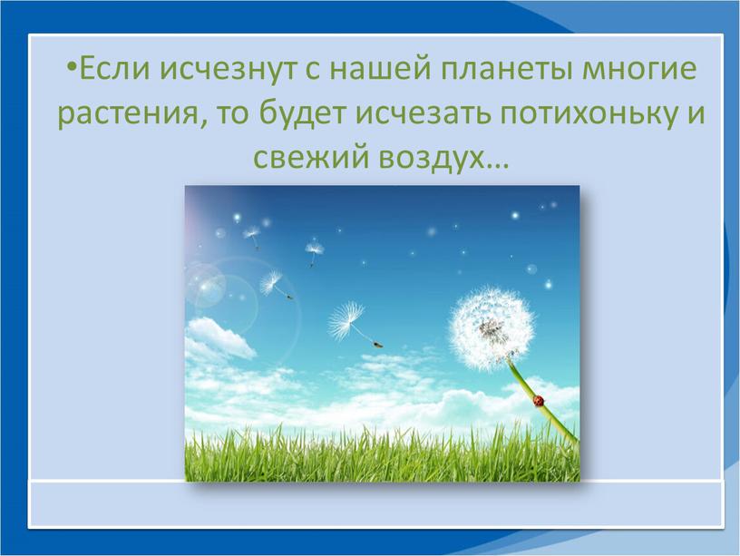 Если исчезнут с нашей планеты многие растения, то будет исчезать потихоньку и свежий воздух…