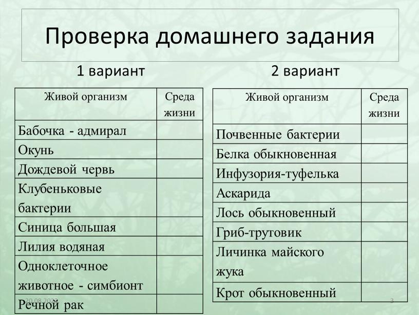 Проверка домашнего задания 1 вариант 2 вариант 20