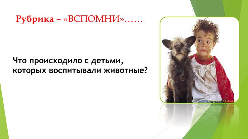 Рубрика – «ВСПОМНИ»…… Что происходило с детьми, которых воспитывали животные?