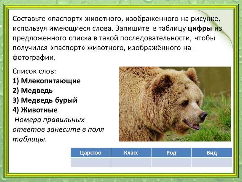 Составьте «паспорт» животного, изображенного на рисунке, используя имеющиеся слова