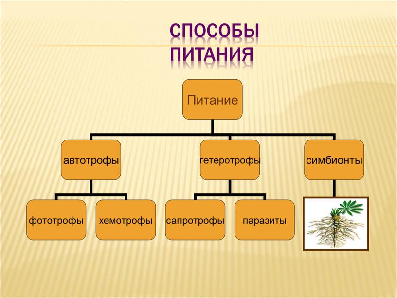 Способы питания