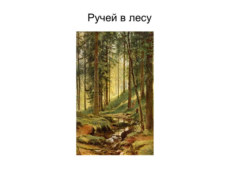 Ручей в лесу