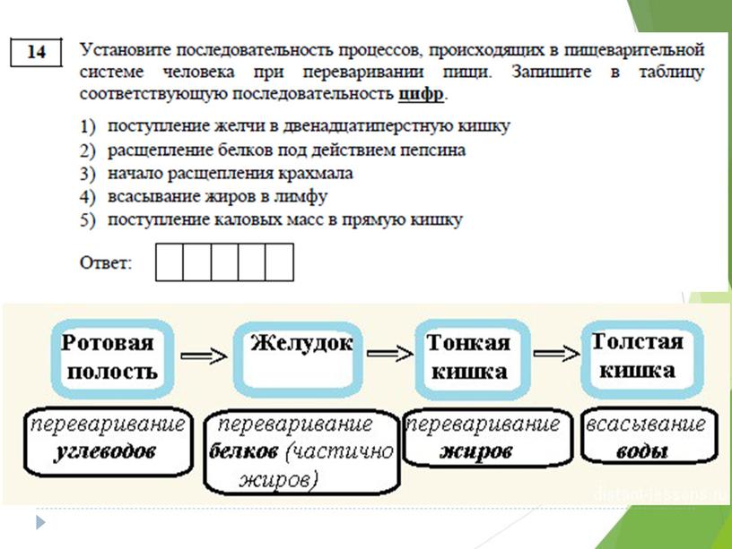 Разбор демо-версии ЕГЭ по биологии