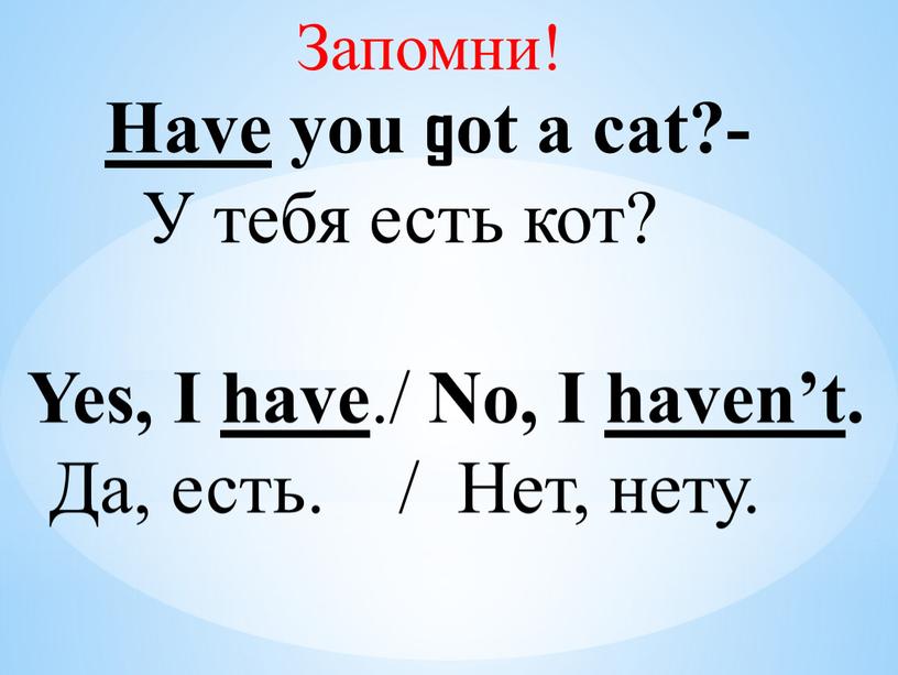 Have you got a cat?- У тебя есть кот?