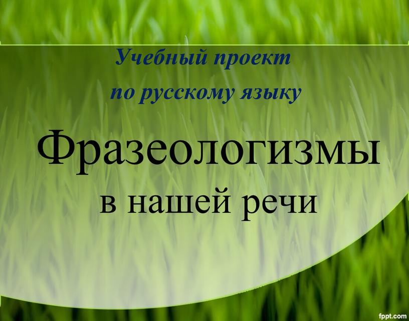 Фразеологизмы в нашей речи Учебный проект по русскому языку